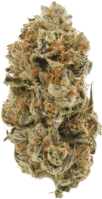 Green Kush image 1